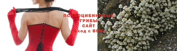 гидропоника Алзамай