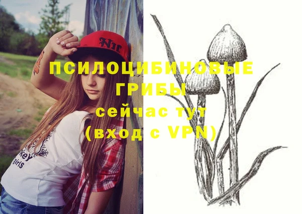 МДМА Алексеевка