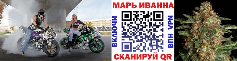 Конопля гибрид  Глазов 
